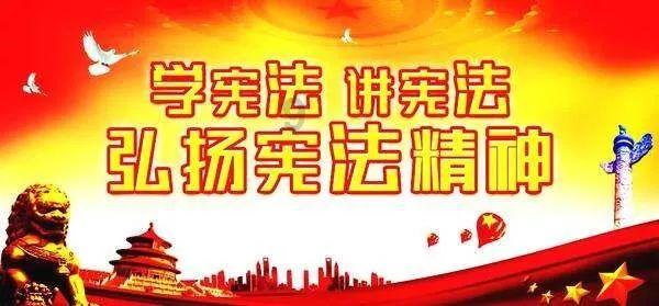 求我的书，我的梦作文